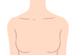乳腺
