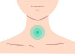 甲状腺